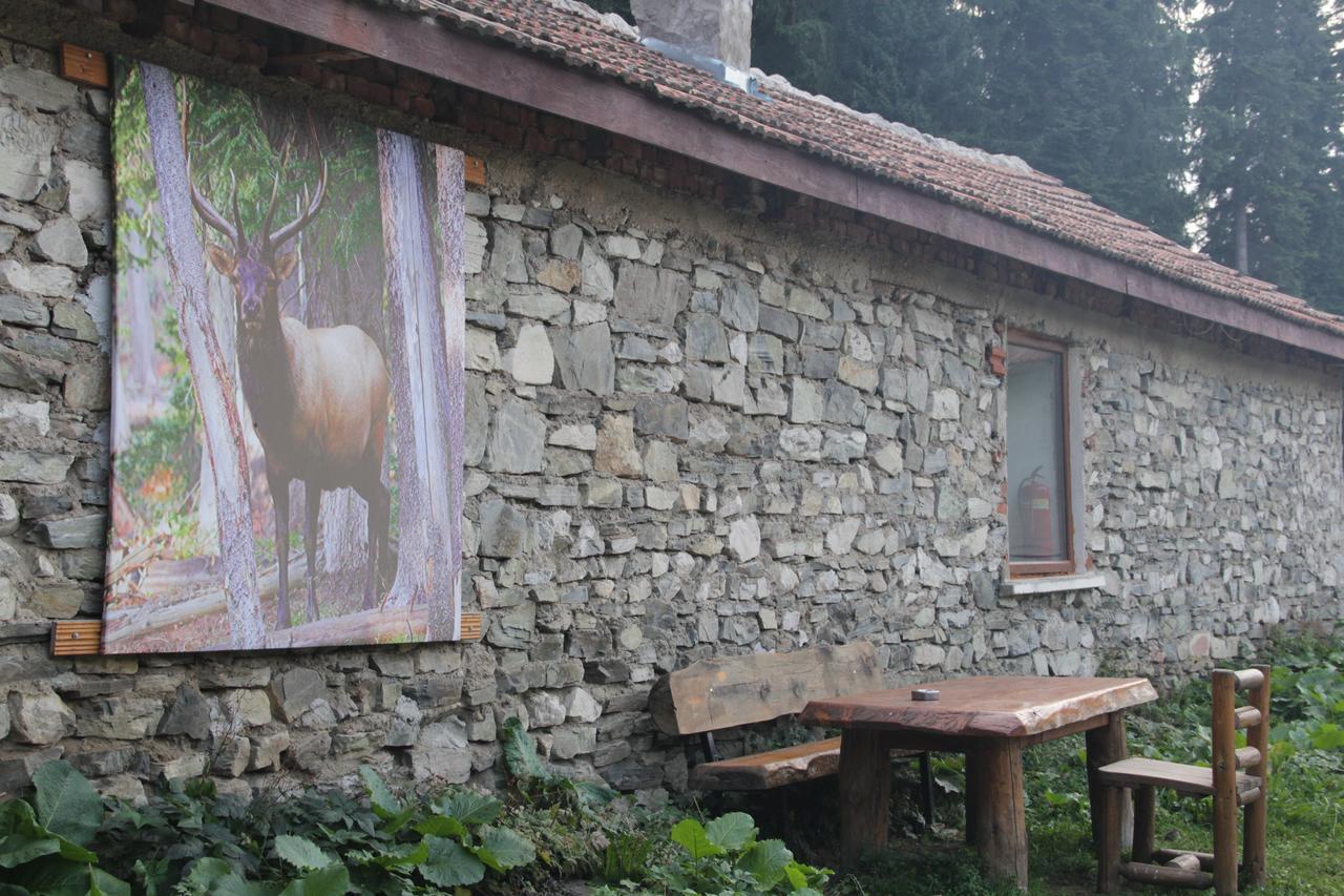 Malka Yurta Hut Villa Panicişte Exterior foto