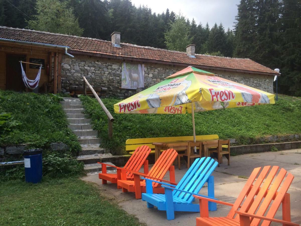 Malka Yurta Hut Villa Panicişte Exterior foto