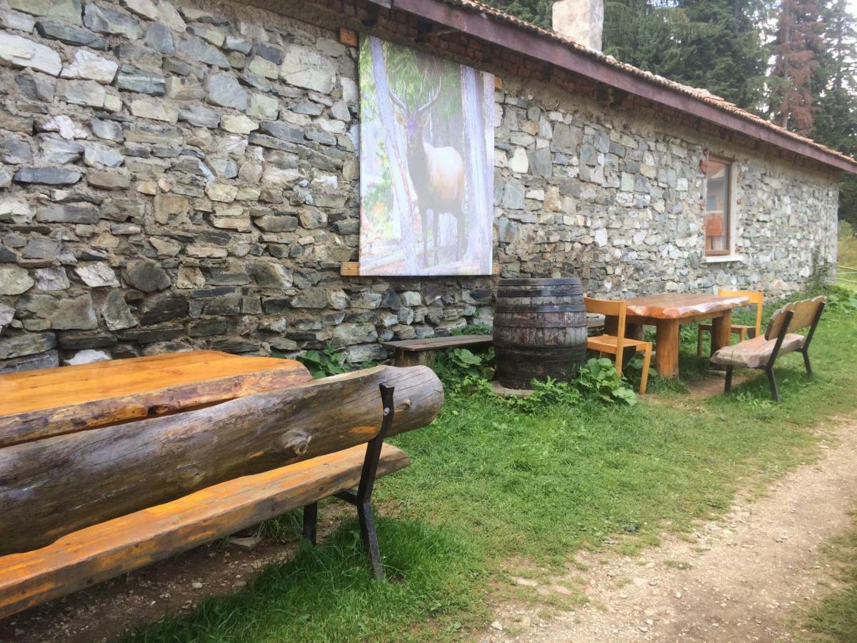 Malka Yurta Hut Villa Panicişte Exterior foto